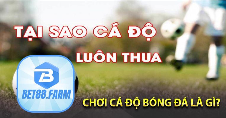 Chơi cá độ bóng đá là gì?