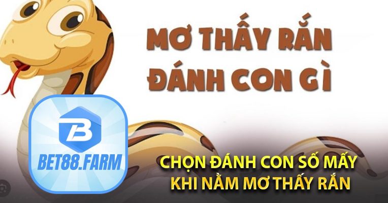 Chọn đánh con số mấy khi nằm mơ thấy rắn